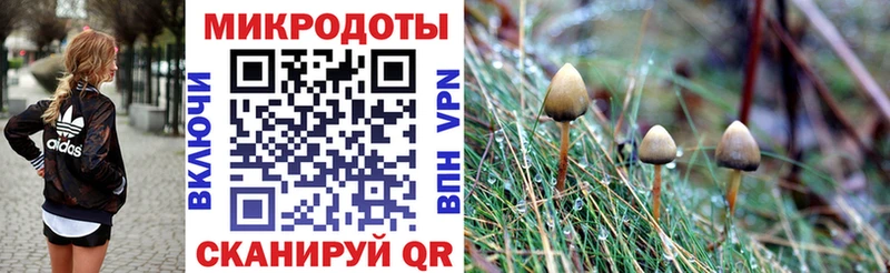 цены наркотик  Черемхово  Галлюциногенные грибы мицелий 